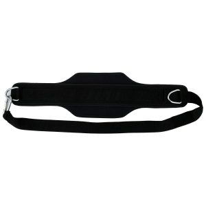 Chainless Nylon Heavy Duty Dipping Belt With Two Rings