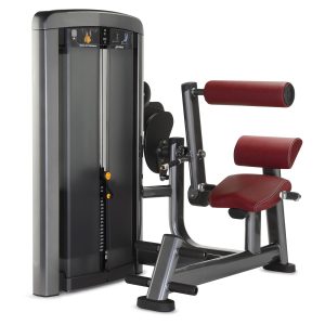 Life Fitness Insignia Series Back Extension (Full Refurbished)