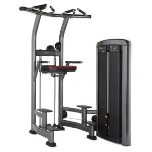 Life Fitness Insignia Series Assist Dip Chin (Full Refurbished)