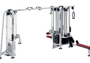 Life Fitness MJ5 Multi-Jungle Signature Series (Remanufactured-Full Refurbished)