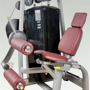 Technogym Selection Seated Leg Curl (Remanufactured-Full Refurbished)