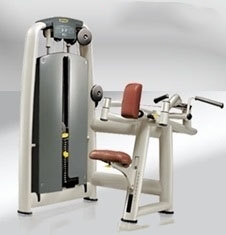 Technogym Selection Upper Back (Remanufactured-Full Refurbished)