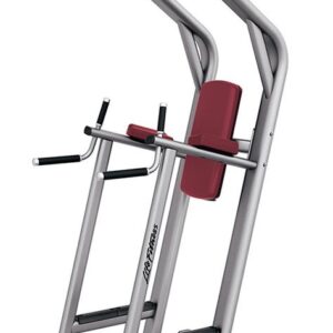 Life Fitness Signature Series Chin/Dip/Leg Raise (Remanufactured-Full Refurbished)