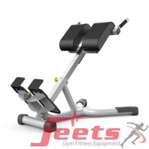 Matrix Magnum Back Extension Bench