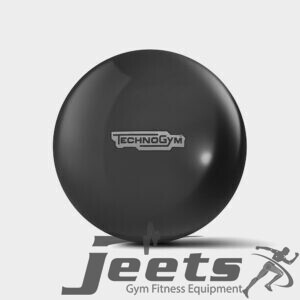TechnoGym Wellness Ball