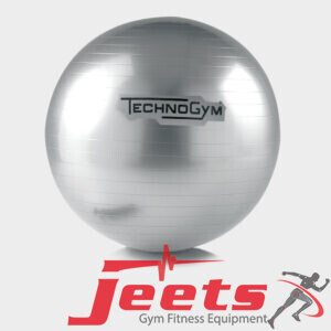 TechnoGym Wellness Ball Training
