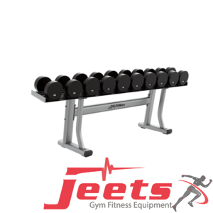 Life Fitness Signature Series Single Tier Dumbbell Rack