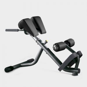 Lower Back Bench technogym